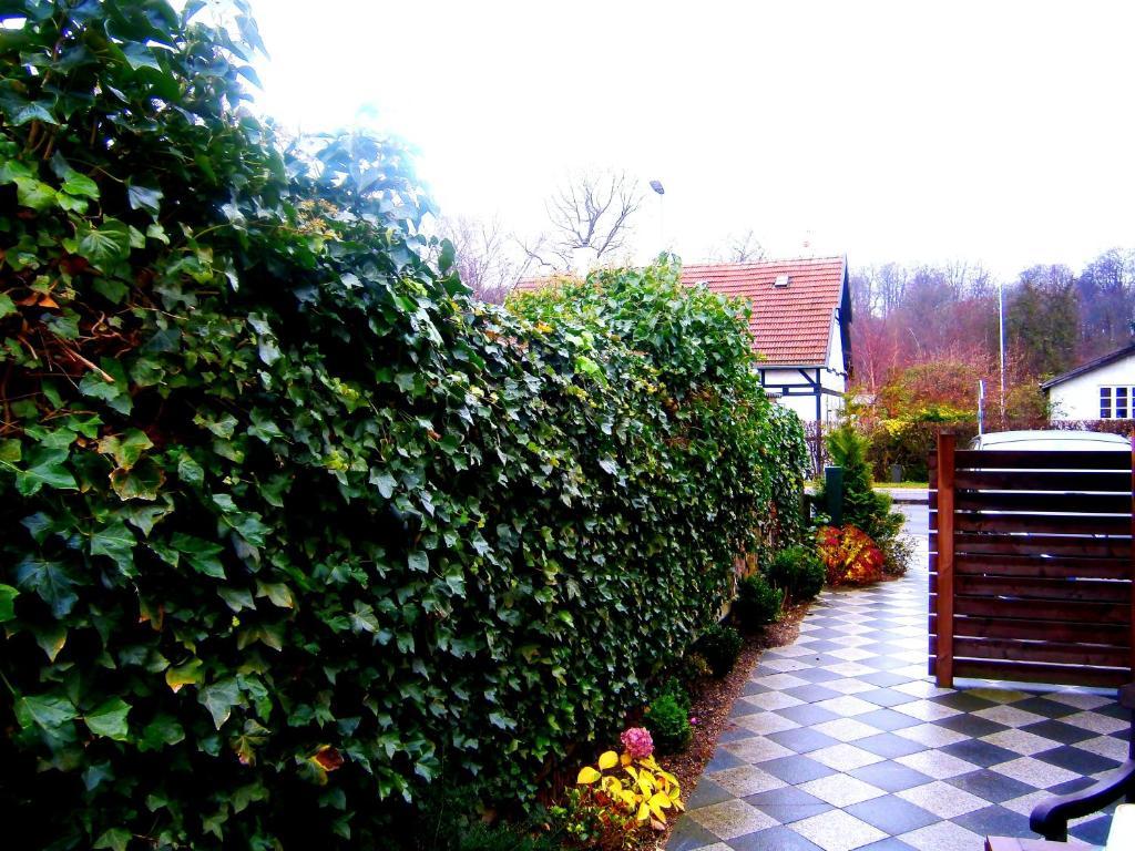 Helsingor Bed & Breakfast Kültér fotó